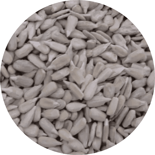 Sonnenblumenkerne
