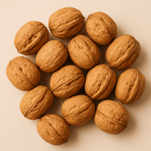 Walnüsse mit Schale  A+ Qualität