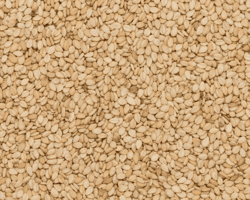 Sesam geschält – Bild 2