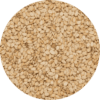 sesam