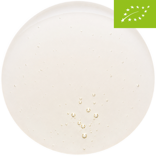 Bio Agavendicksaft