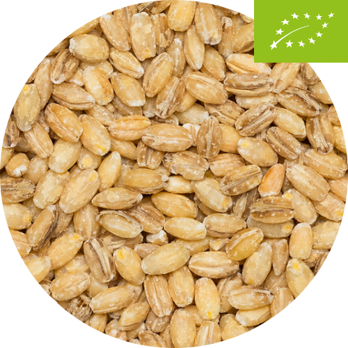Bio Geschälte Gerste