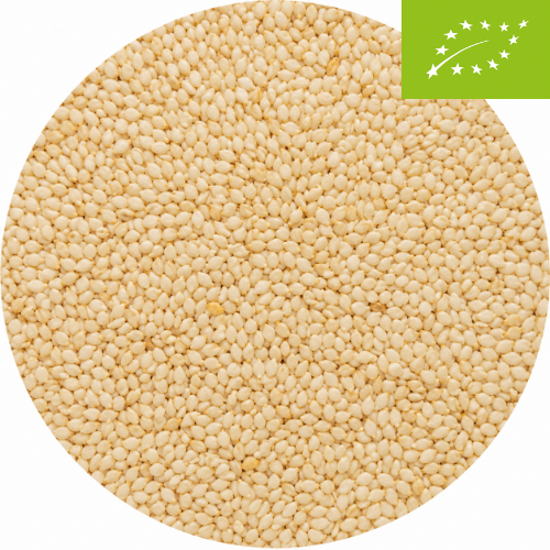 Bio Sesamsamen geschält